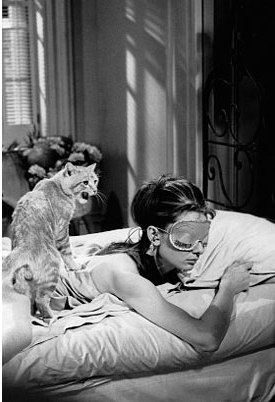 №19, Юлия Сугатова №19, Юлия Сугатова