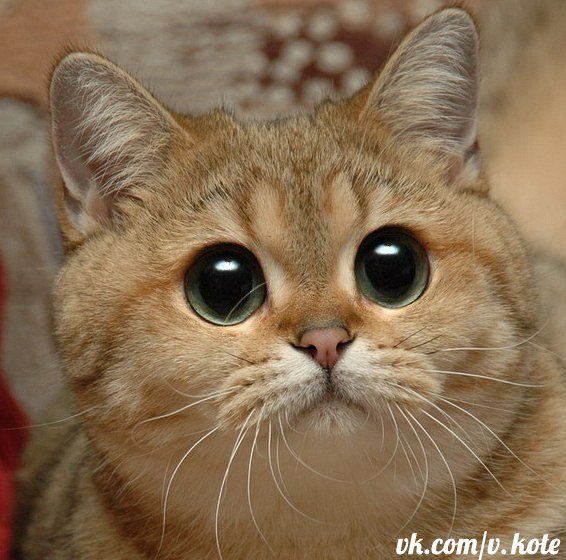 Юрий Дудин | Ижевск