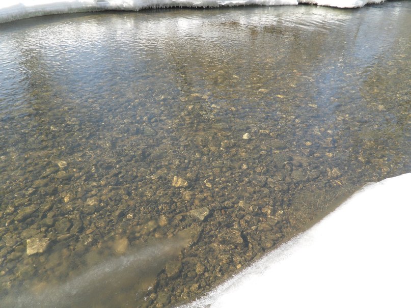 Танюшка Домбровская | Москва