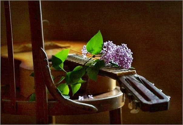 №44, Инна Шатиленя, 56 лет, Воронеж №44, Инна Шатиленя, 56 лет, Воронеж