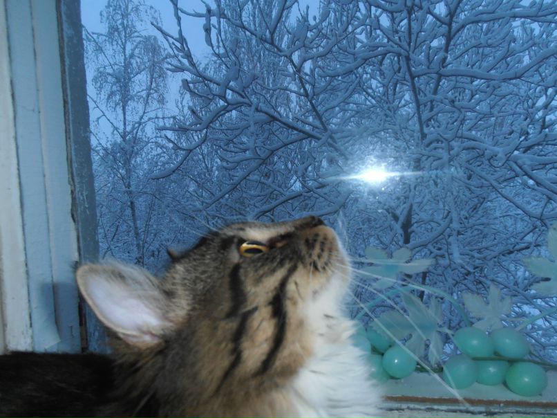 Элла Шпак | Запорожье