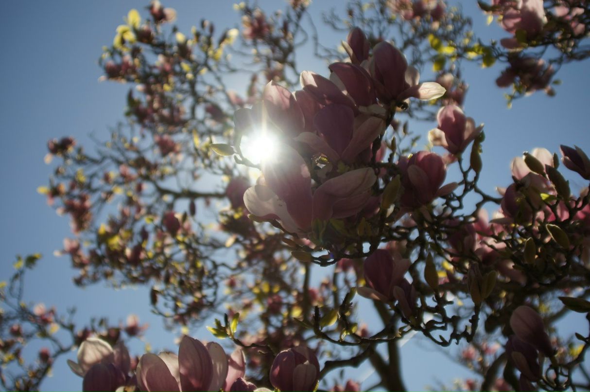 Артем Ананьев Ixmal | Санкт-Петербург