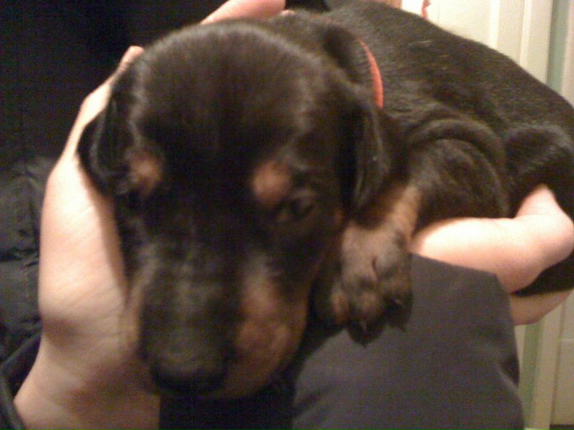 Андрей Волощук | Екатеринбург