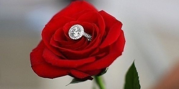 Светлана Чалая | Кривой Рог