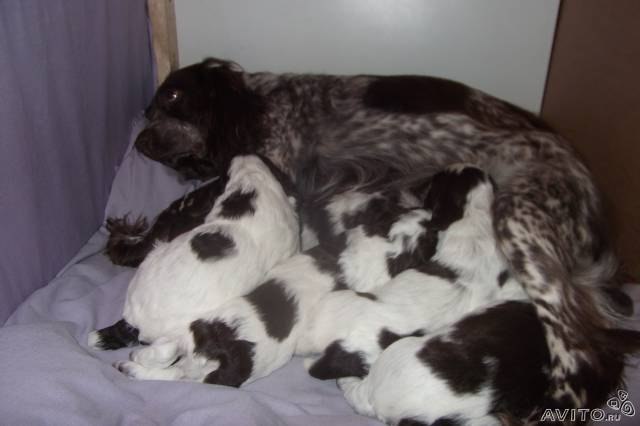 Оксана Козловская | Санкт-Петербург