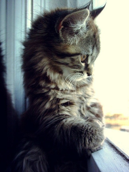 №5, Марина Спиридонова, 34 года, Лениногорск №5, Марина Спиридонова, 34 года, Лениногорск