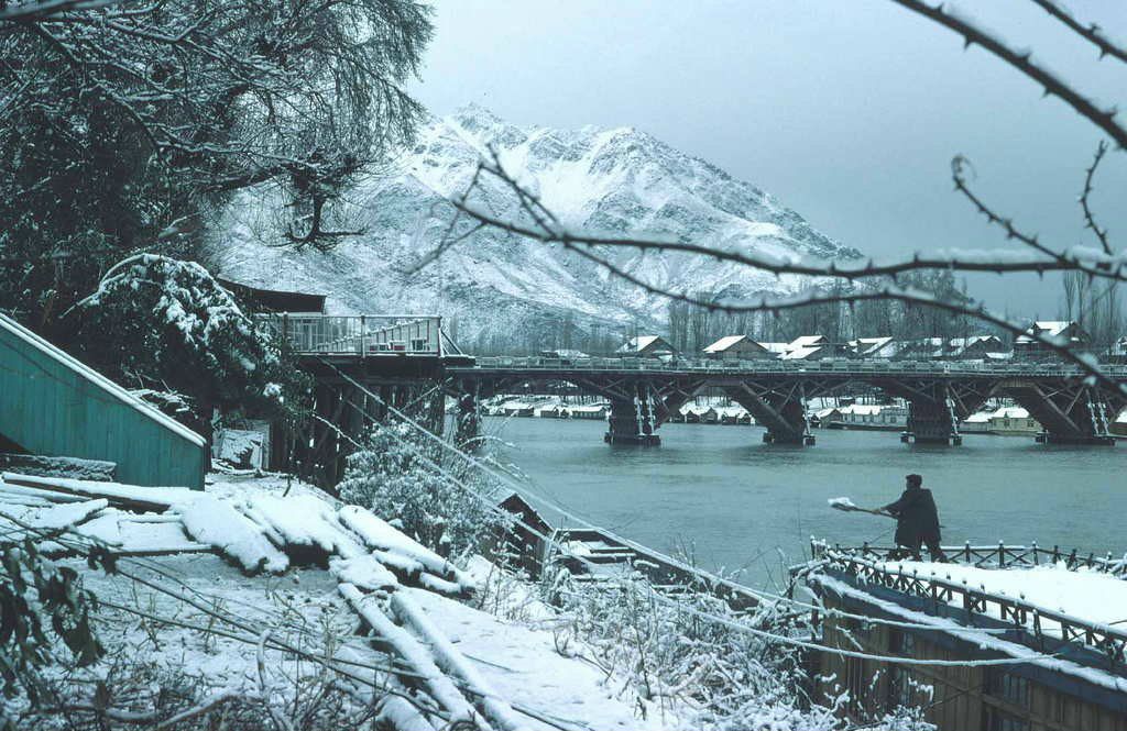 Lettiesh Kunnathully | 