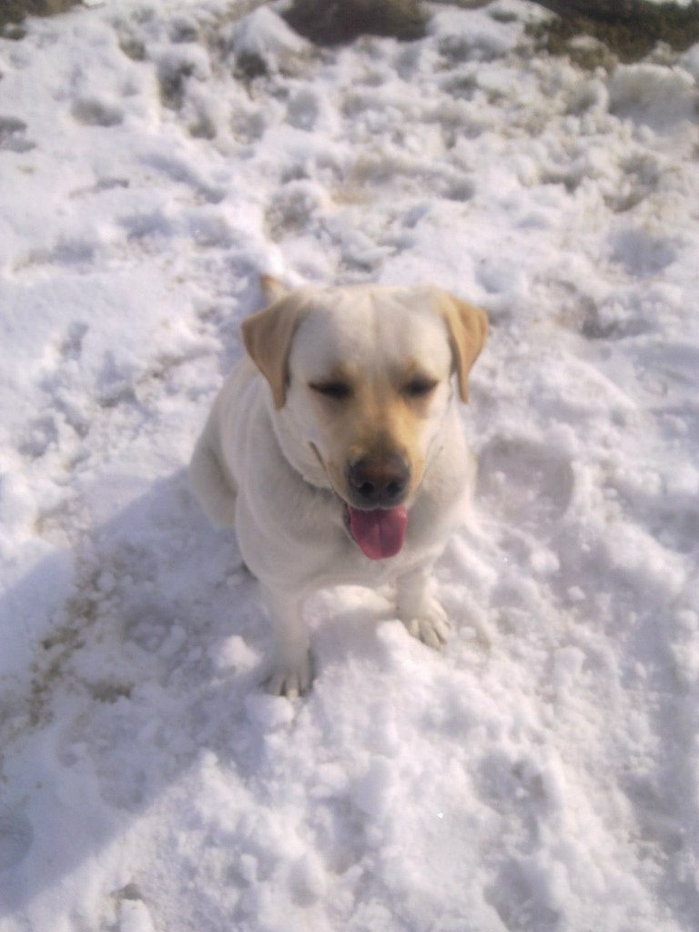 Валек Москва | Тубольцы