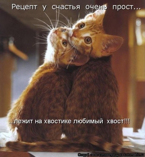 Евгения Климочкина | Петрозаводск