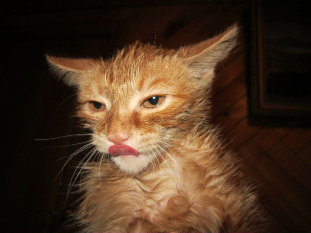 Ольга Карачева | Улан-Удэ