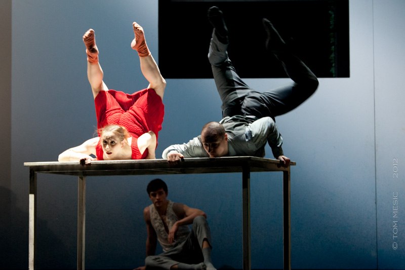 Александр Новиков | 