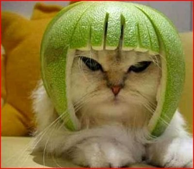 Богдан Михайлечко | 