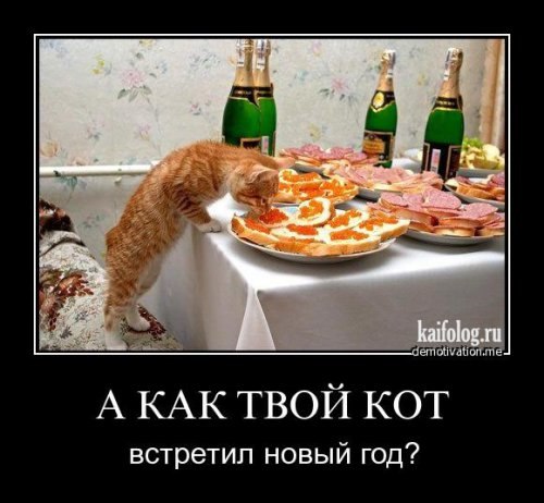 Николай Агеев | Карасук