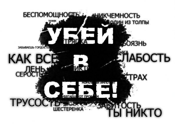 Виталий Рясиченко LINOK | Чигирин