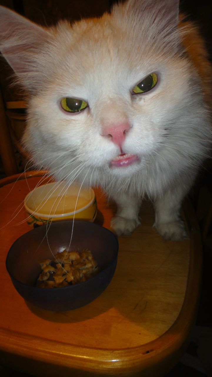 Яна Шульжинская | Санкт-Петербург