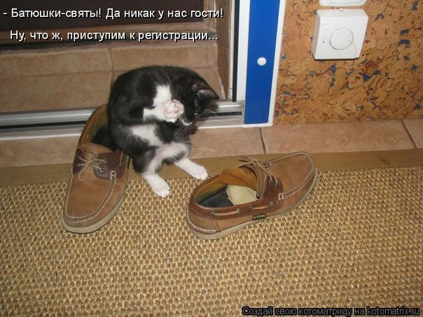 Ігор Середа | Княже