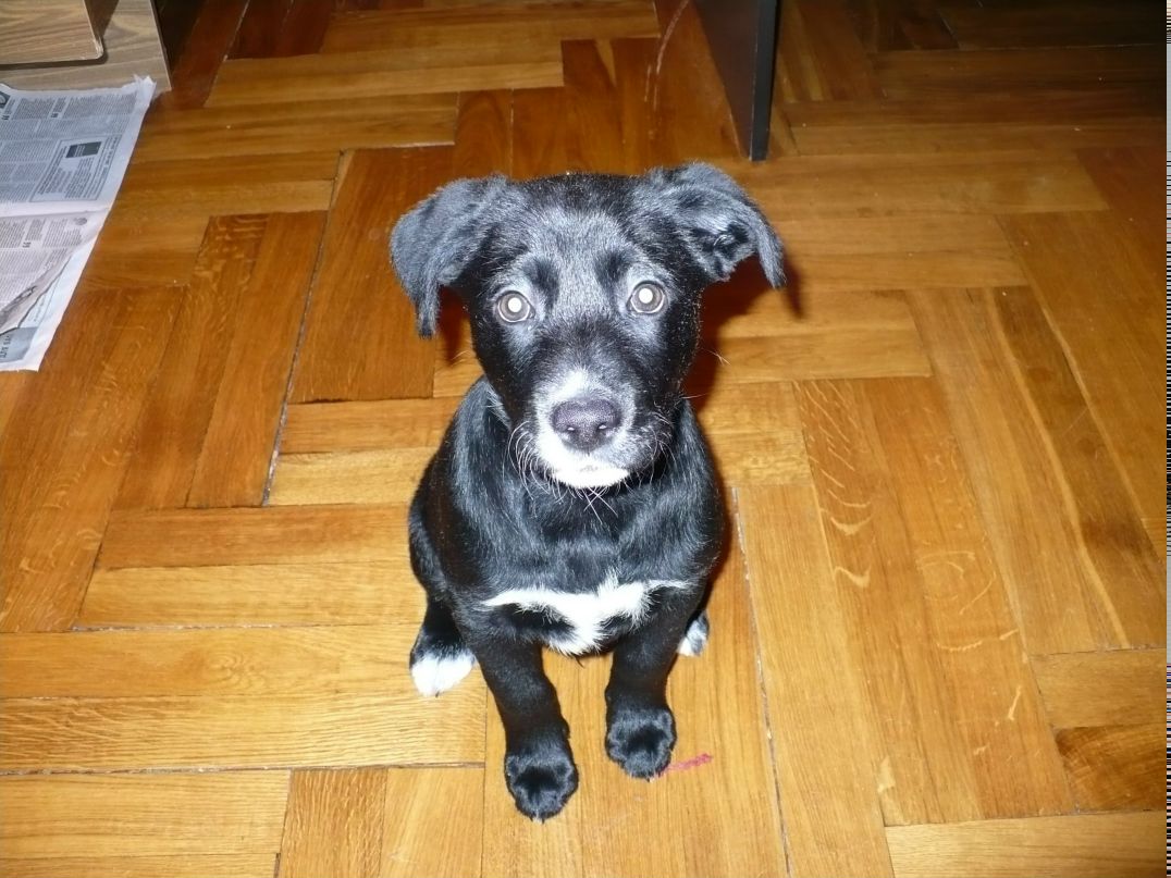 Алла Махнач Allo4ka | Минск