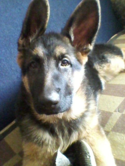 Дима Бурихин Александрович | Старая Русса