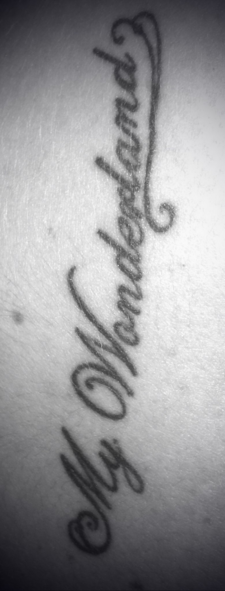 Алексей Алексеенко | 