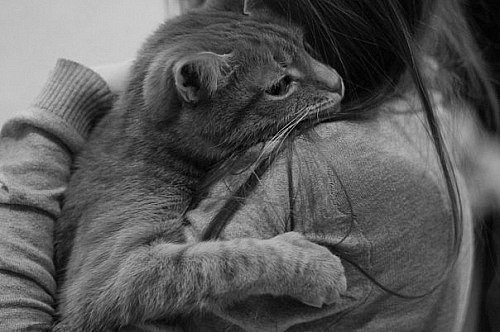 Анастасия Кузенкова | Нижний Новгород