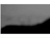 Кошка Сахары | 