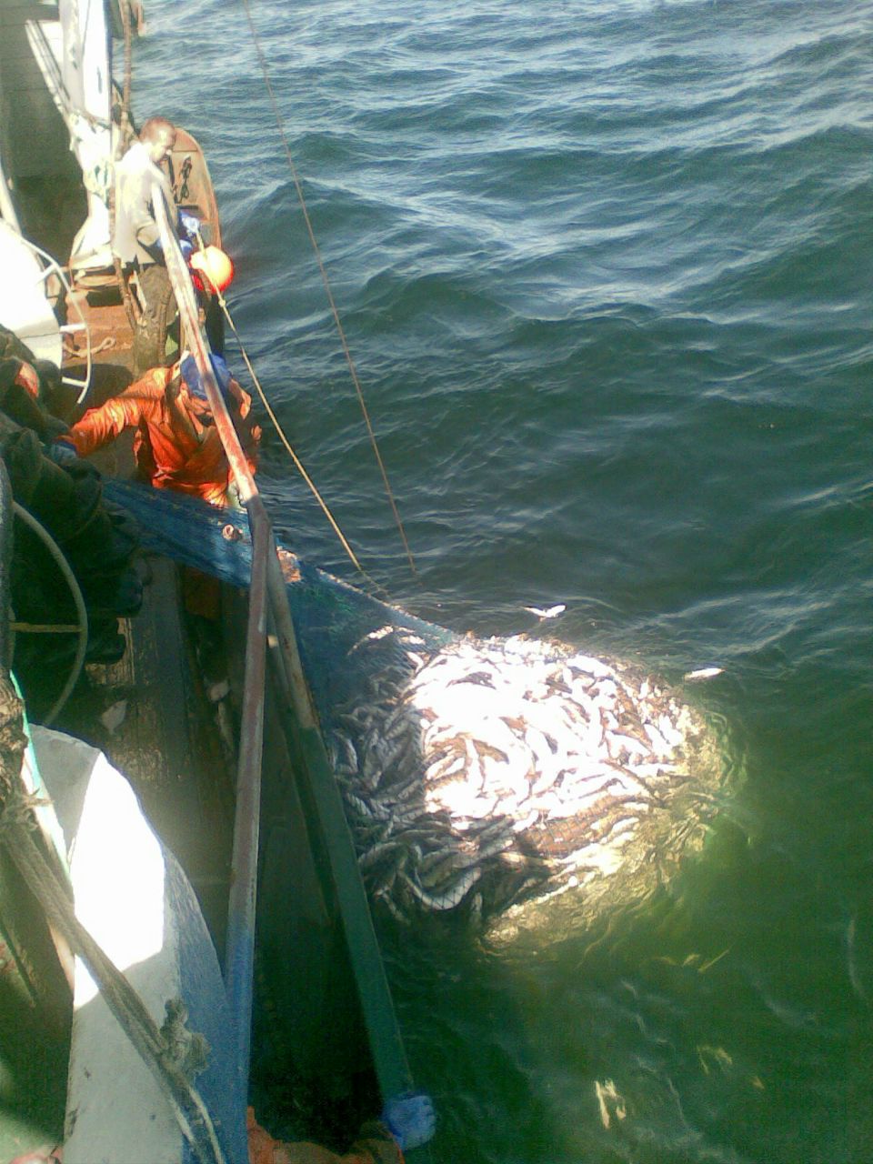 Слава Окунев | Калининград