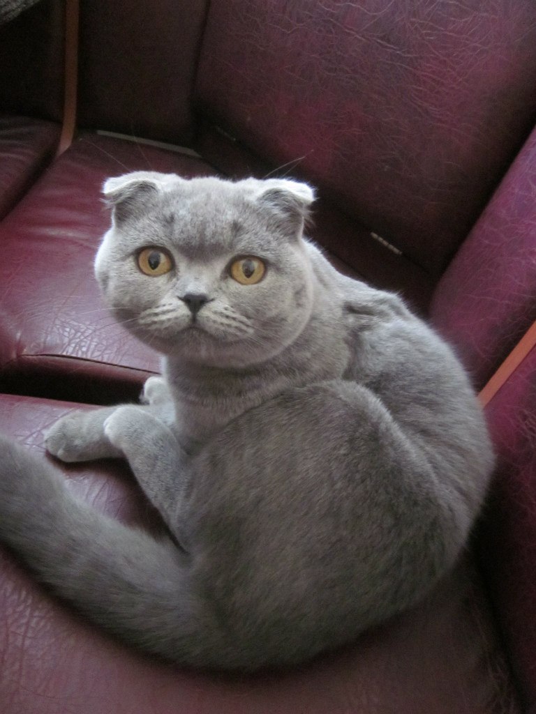 Анна Горденко (Данилова) | Орелька