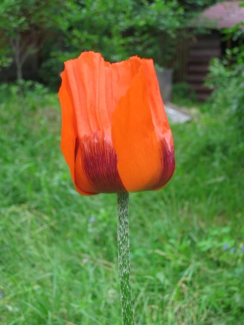 Екатерина Пескова | Москва