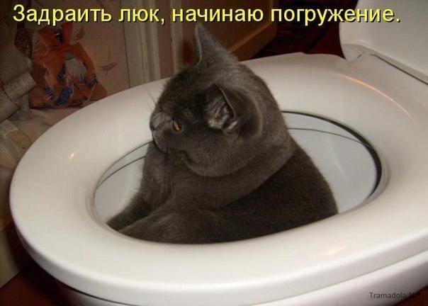 №34, Виталий Тощев, 37 лет, Белгород-Днестровский №34, Виталий Тощев, 37 лет, Белгород-Днестровский