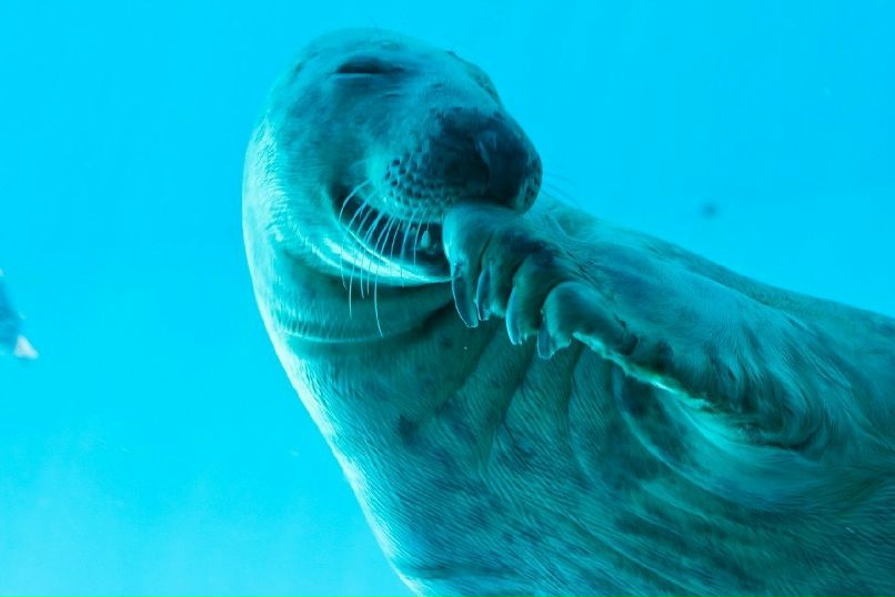 Юрий Филиппов | Карговино