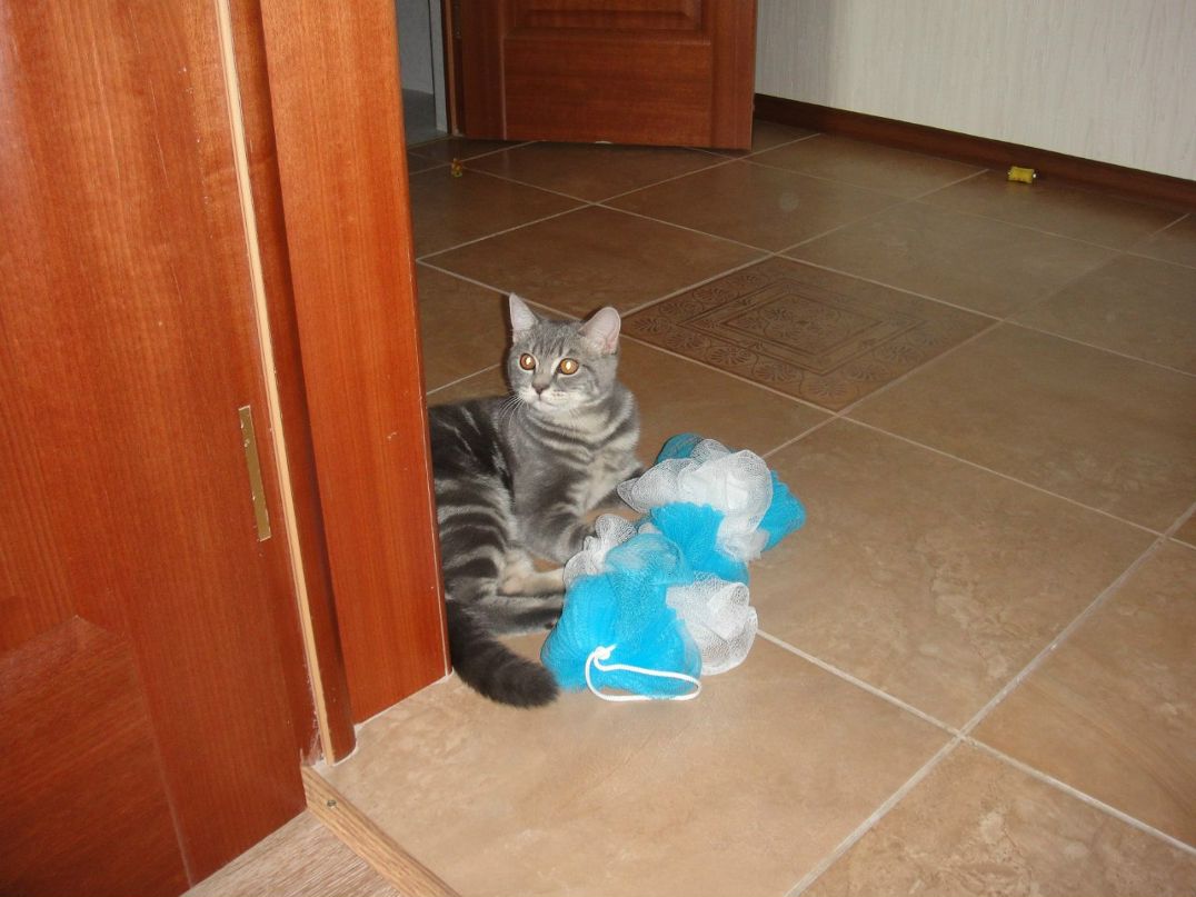 Ольга Григорьева | Нижневартовск