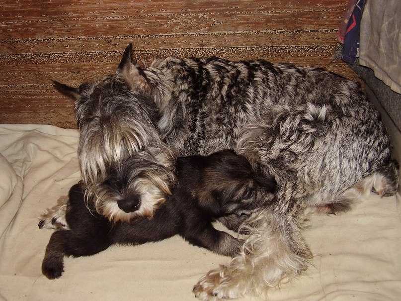 Анжелика Соколова | Санкт-Петербург