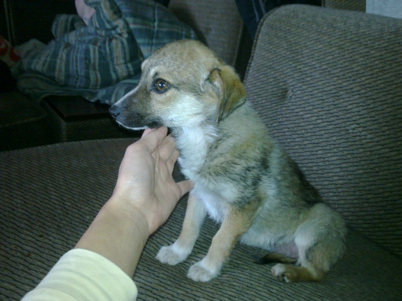 Виктория Ягодкина | Калининград