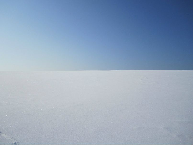 Антон Забоев | Сыктывкар