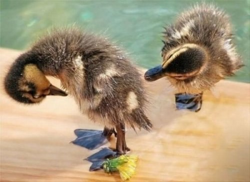 Роман Шакиров | Екатеринбург