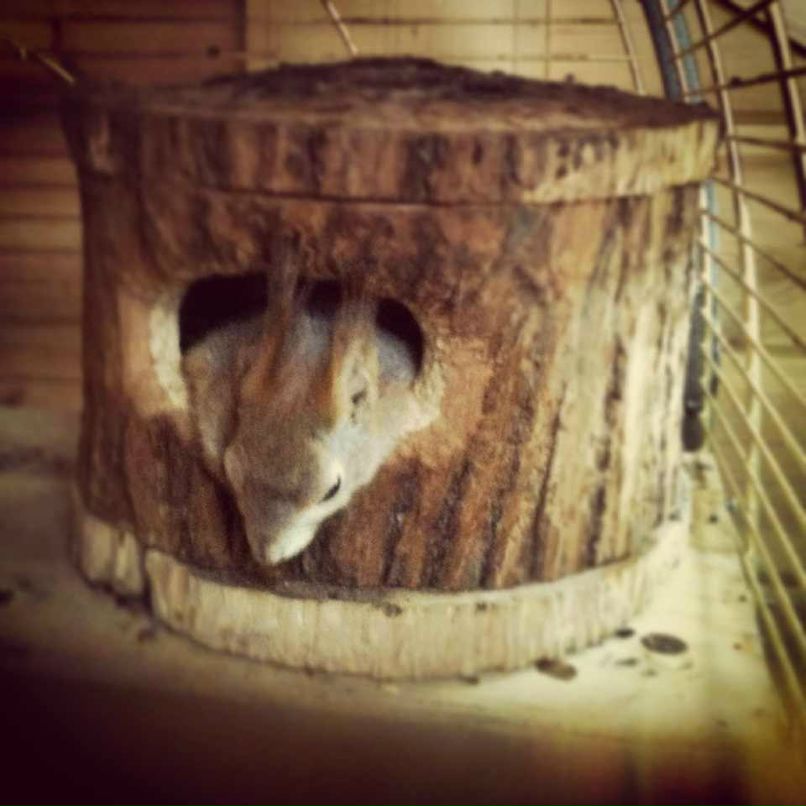 Екатерина Главчева | Москва