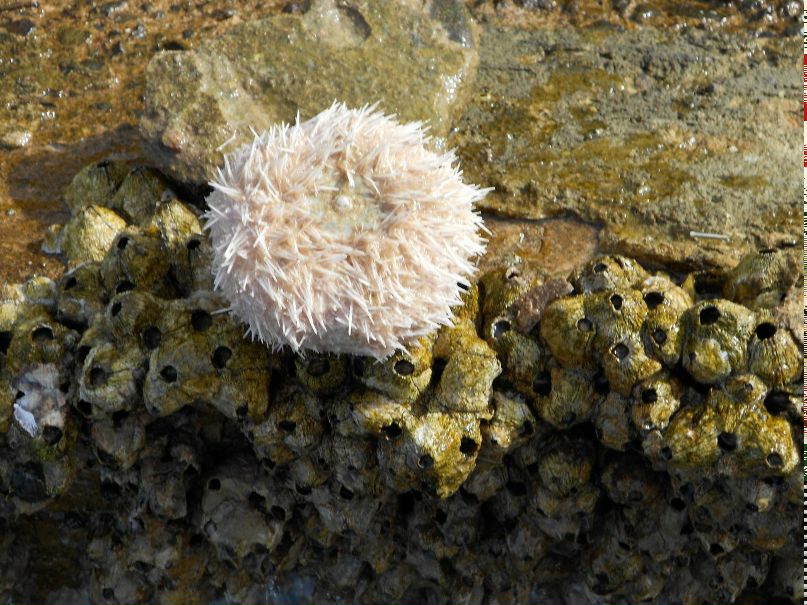 Вячеслав Харитонов | Санкт-Петербург