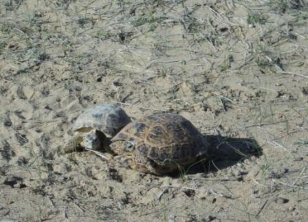 Андрей Тимофеев | Пермь