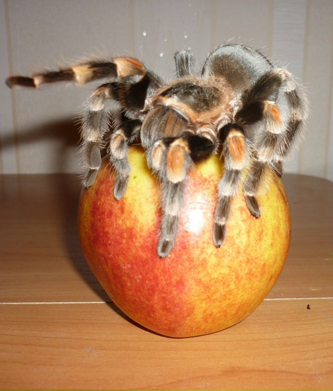 Михаил Кузнецов | Санкт-Петербург