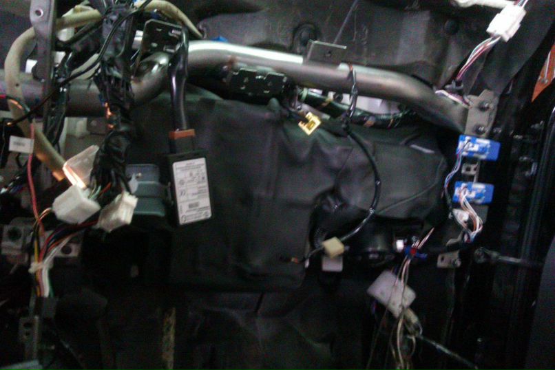 Максим Заболотний | Кривой Рог