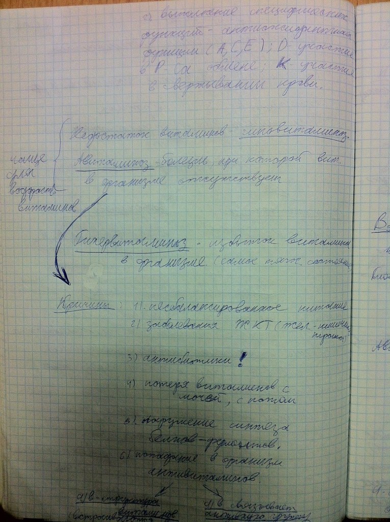 Эльтаир Дженкинс | Санкт-Петербург