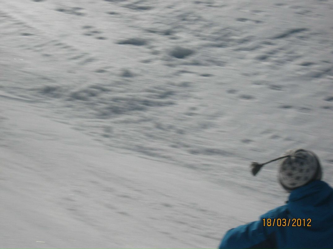 Елена Соловьева | Санкт-Петербург