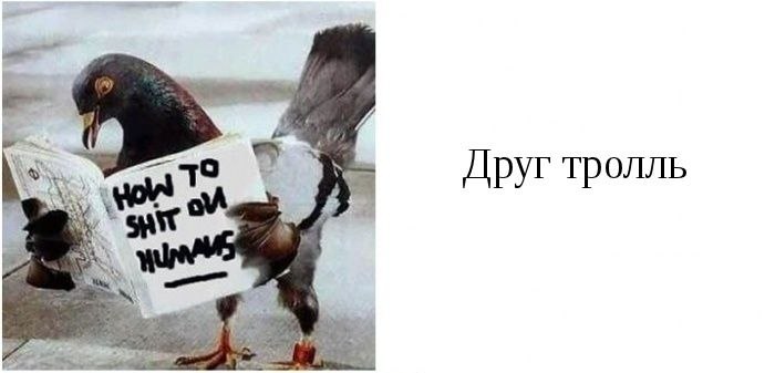 Владислав Зайцев | Южно-Сахалинск