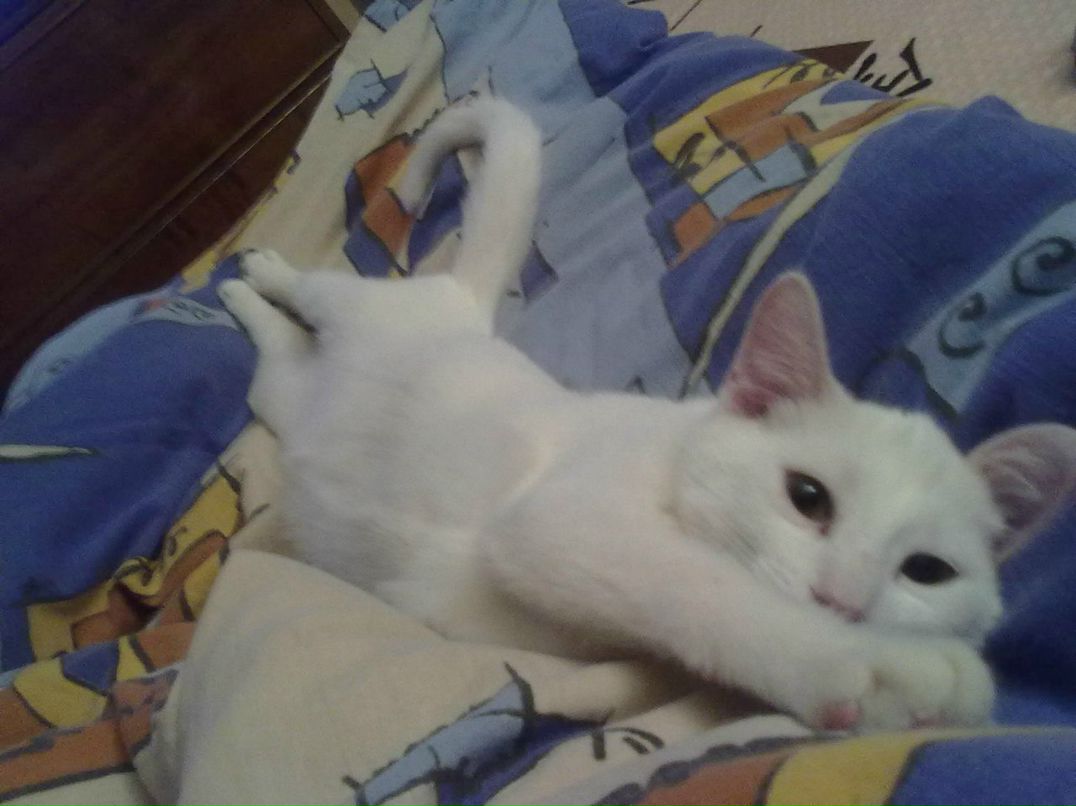 Ирина Григорьева ▀▄▀▄▀▄▀ | Санкт-Петербург