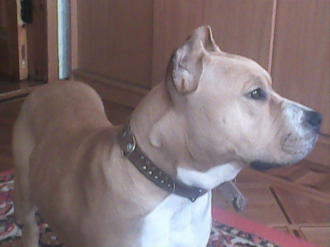 Владимир Тихонцов | Ростов-на-Дону