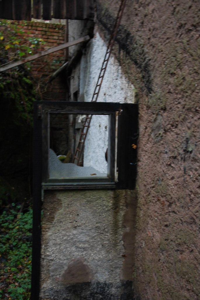 Mark Maisner | Телави