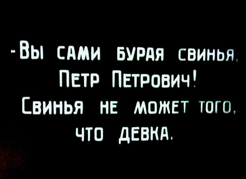 Саша Плющ | Москва