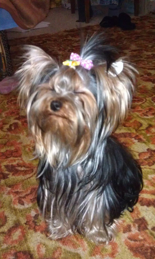 Элеонора Якимук | Москва