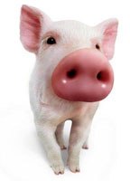 Игорь Stitch | Москва