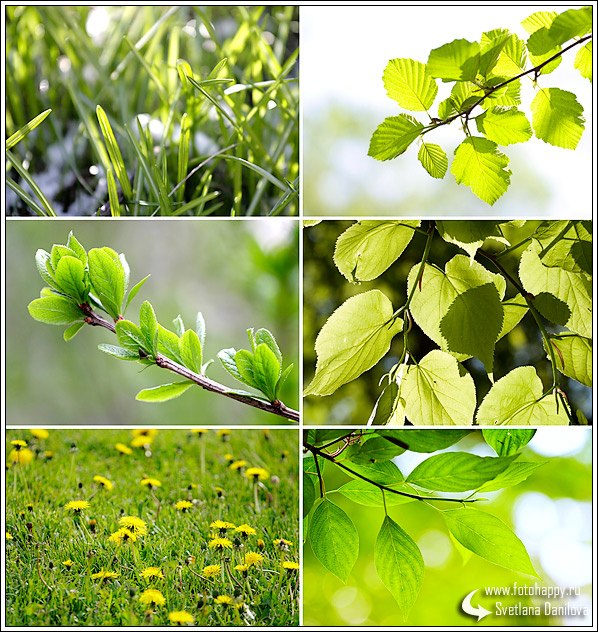 Надежда Золотарёва | Игра